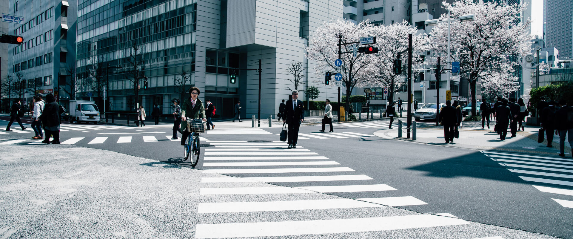 Cardano ADA Staking Rewards